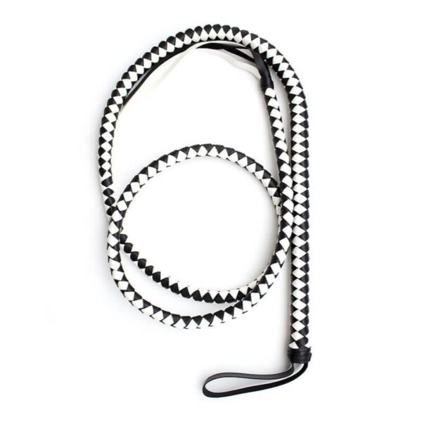 Sensory Ecstasy 24-Piece Beginner’s BDSM Set