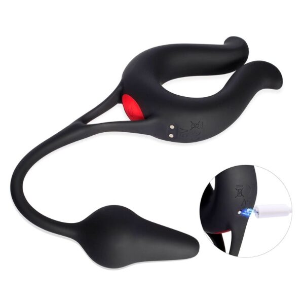Ultimate Control Cock Ring Butt Plug Combo