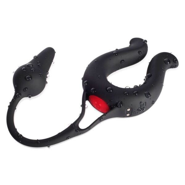 Ultimate Control Cock Ring Butt Plug Combo