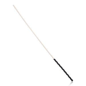 Cane BDSM Whip - Image 1