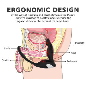Mens Prostate Vibrator with Cock Ring, Remote Control Version "Langer" - Image 5