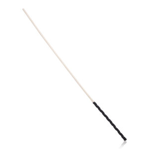 Cane BDSM Whip - Image 1