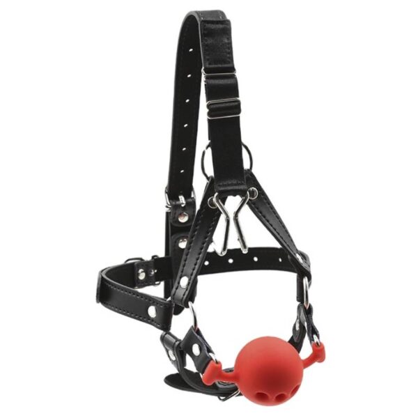 Ball-gags-M-1.jpg
