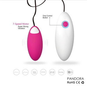 Pandora Wired 2 Piece Vibrator - Image 2