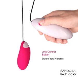 Pandora Wired 2 Piece Vibrator - Image 4