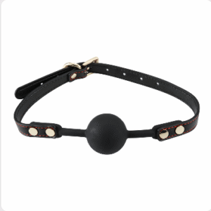 Black Beauty Leather BDSM Set - Image 11