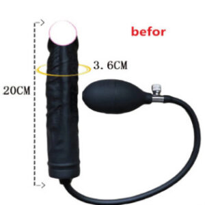 Inflateable Butt Plug - Image 1